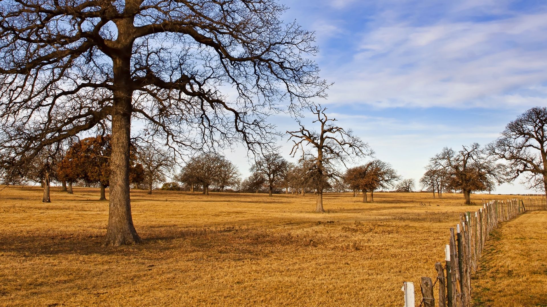 Martine Ranch