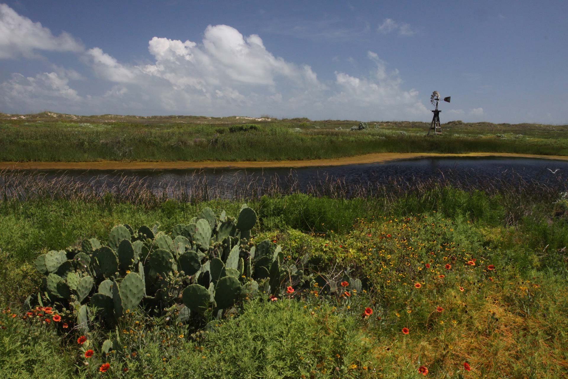 Matagorda Wetlands