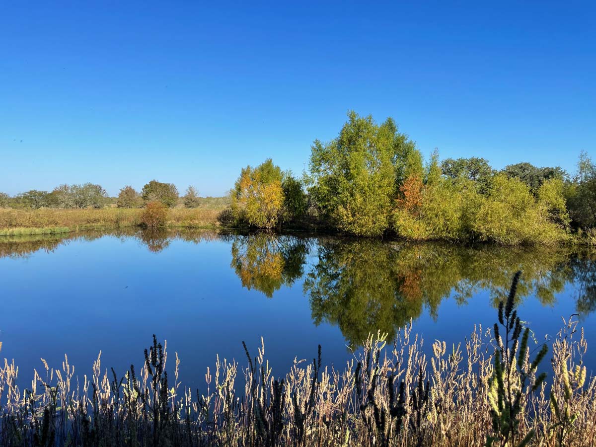 Vacek Farm Water