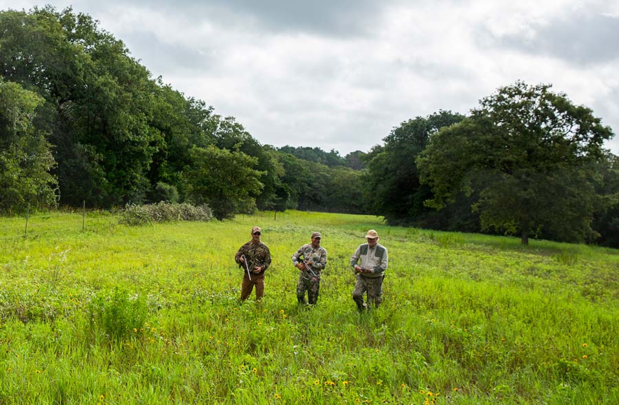 Family dove hunt