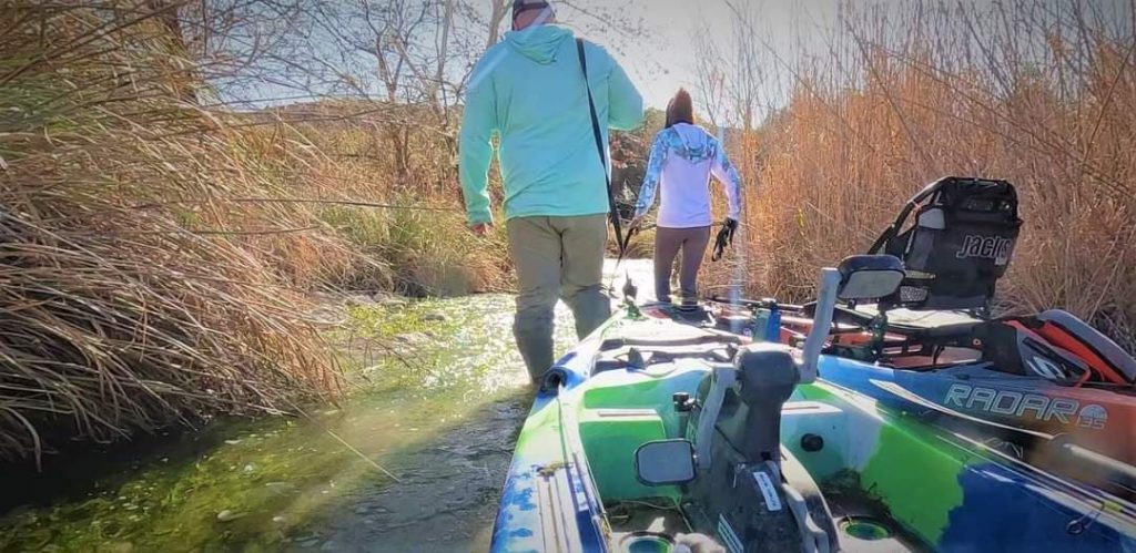 Two people pull kayaks through shallow water through reeds.