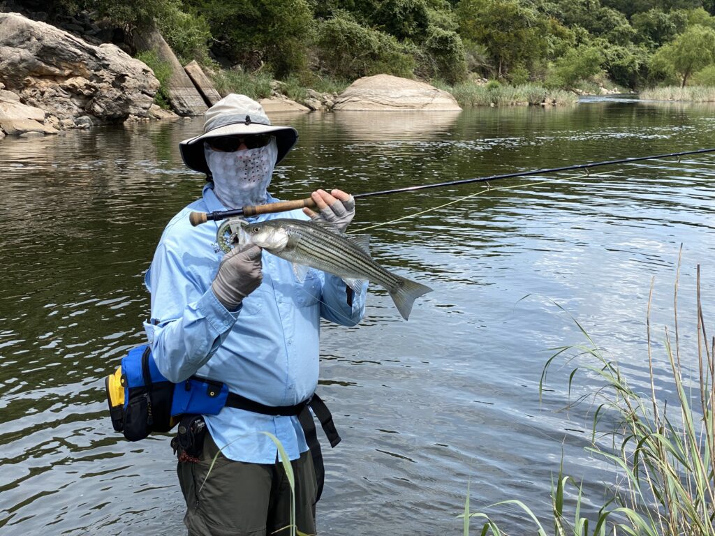 Texas' White Bass Run - Colorado River Land Trust